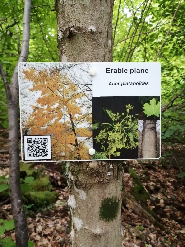 panneau erableqrcode