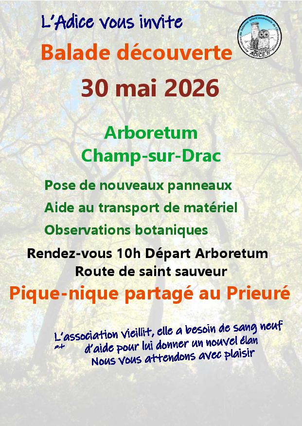 TRAC 26
